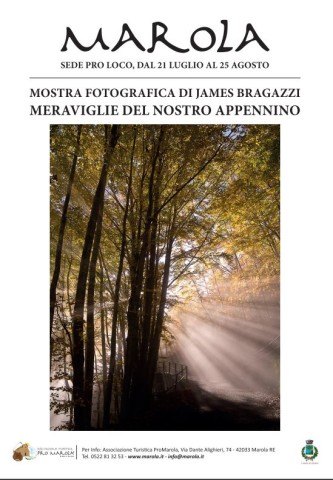 bragazzi